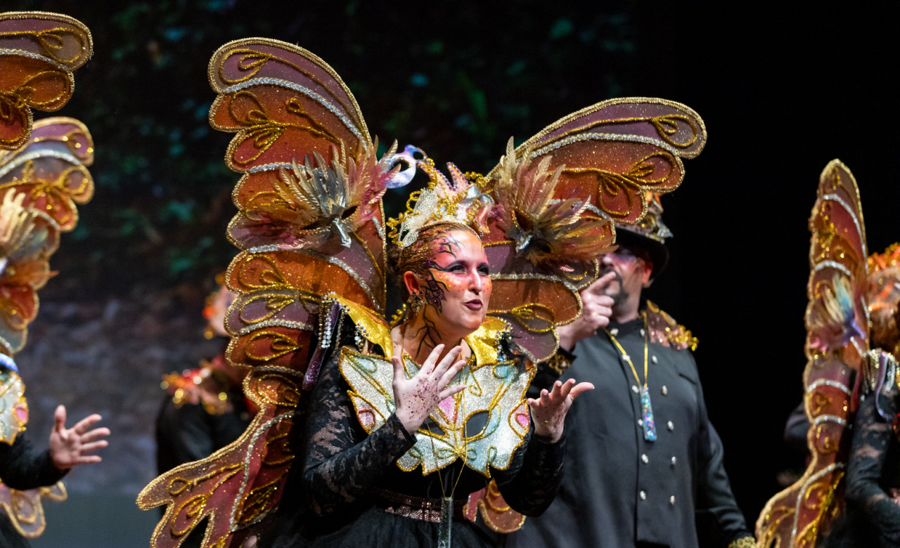 El refugio de la sombra, Comparsa de Málaga