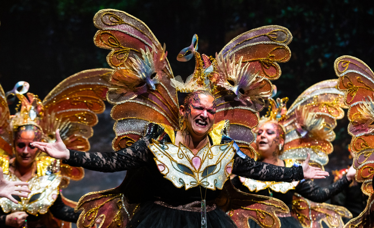 El refugio de la sombra, Comparsa de Málaga