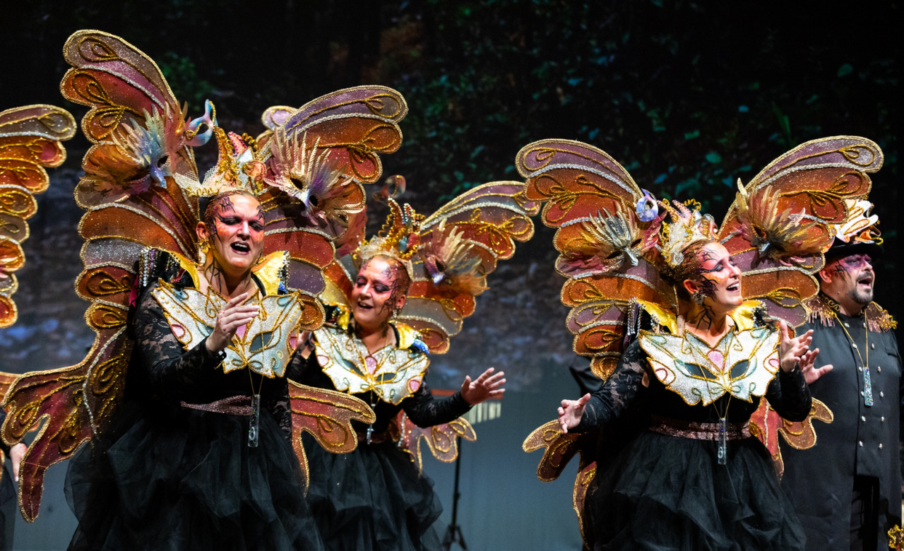 El refugio de la sombra, Comparsa de Málaga