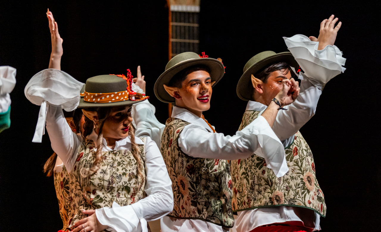 ¡Sshhh, que estamos ensayando!, Murga de Málaga